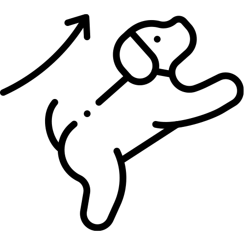 Soutient la croissance