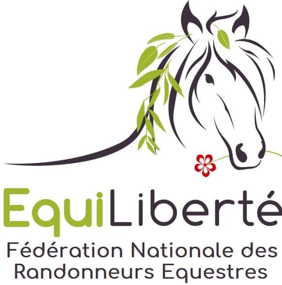 https://fr.husse.ch/wp-content/uploads/2024/05/EQUILIBERTE_LOGO_SEUL_ET_FNRE.jpg