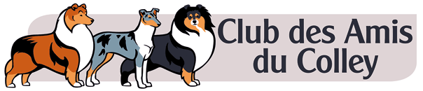 https://fr.husse.ch/wp-content/uploads/2024/05/club-des-amis-du-colley-logo.png
