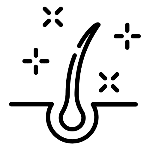 Peau saine et pelage brillant