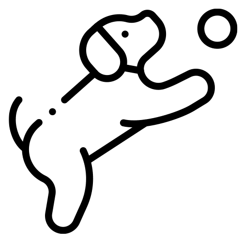 Soutientla mobilité