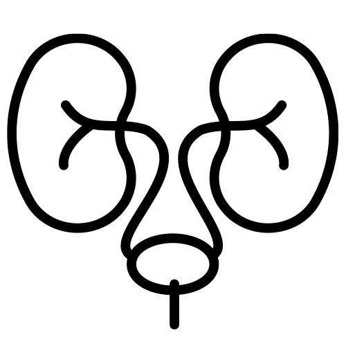 Soutientle système urinaire