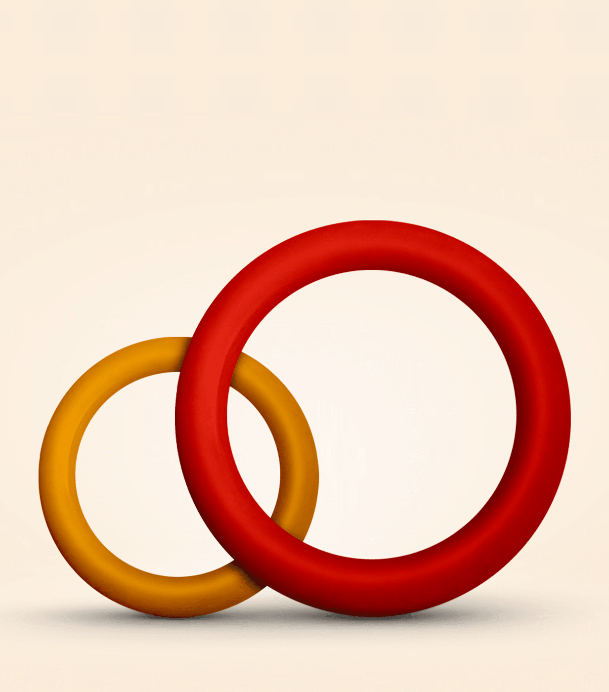 Anneau pour chien | Bitring