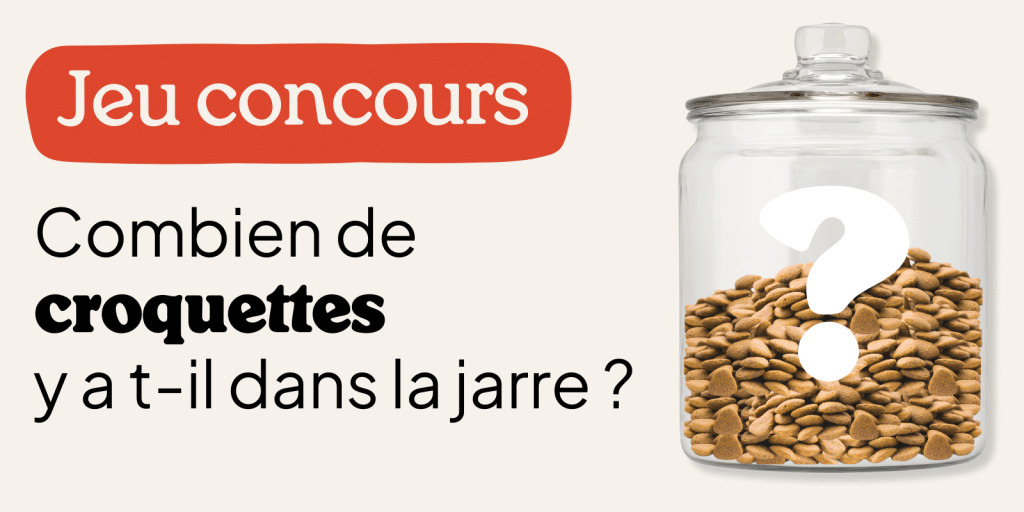 Devinez croquettes dans jarre pour jeu concours.