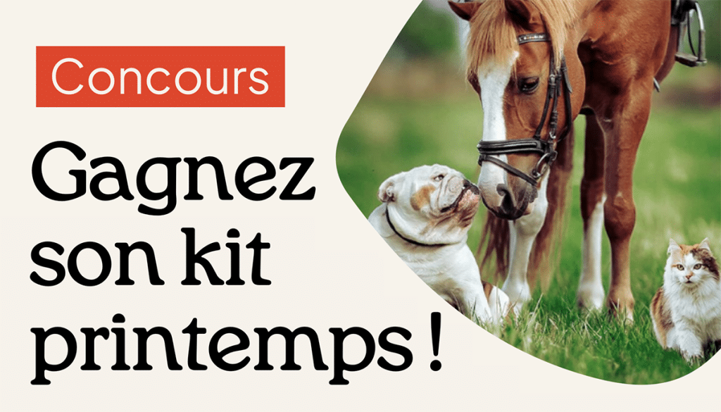 Concours : Gagnez kit printemps avec animaux.