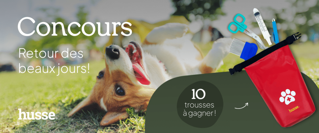 Concours avec chien et trousses à gagner.