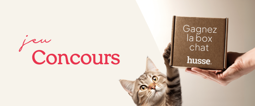 Concours pour gagner une box pour chat.