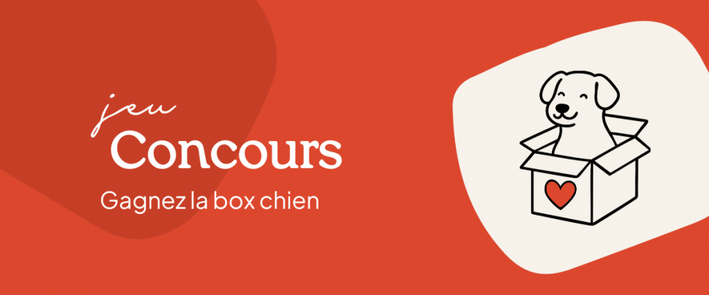 Concours: gagnez une box chien avec dessin.